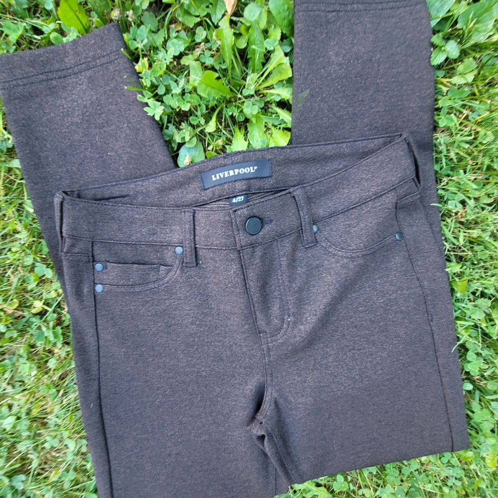 Liverpool Size 4/27 Skinny Stretch Brown 5 Pocket Pants